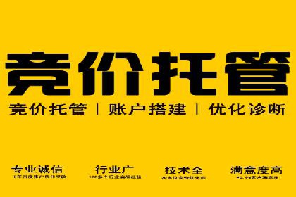 行业领先企业如何运用SEM关键词提升业务